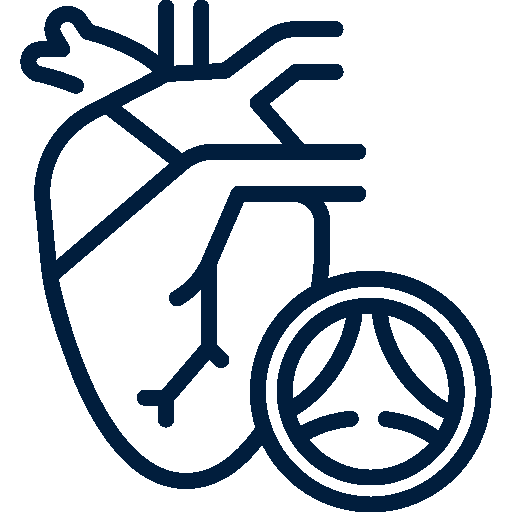 Cardiac Valve Disorders Icon